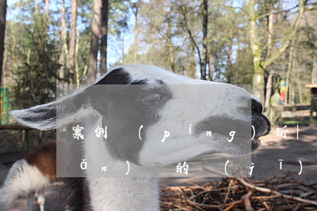 案例評(píng)析|被多次轉(zhuǎn)讓的機(jī)動(dòng)車(chē)，造成交通事故后，責(zé)任由誰(shuí)承擔(dān)？